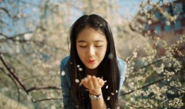 圈内八卦爆料郑爽李兰迪,娱乐圈风云再起