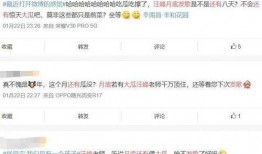 娱乐圈内公众号爆料小说,揭秘公众号爆料背后的小说世界