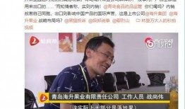 青岛海霸员工爆料视频,揭露企业内幕与真相