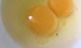 网友爆料鸡蛋视频大全图片,鸡蛋视频大全，揭秘神奇烹饪技巧