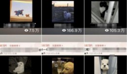 白色底料爆料怎么做的视频,揭秘自制视频制作技巧