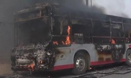 石家庄逆行爆料事件最新,真相与反思交织的街头冲突