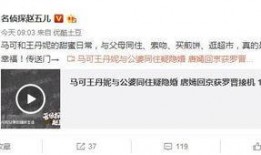 丁姐爆料视频大全下载免费,免费下载，揭秘娱乐圈幕后真相