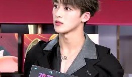 优酷狗仔爆料何洛洛视频,狗仔偷拍事件引发热议