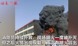 保定望都县爆料事件最新,揭开背后真相，探寻社会关注焦点