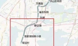 武汉八号线爆料最新消息