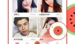 吃瓜神器直播在线观看免费,直播在线观看免费，畅享娱乐盛宴