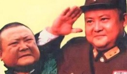 傻儿司令八哥爆料视频大全,揭秘幕后真相与趣味瞬间