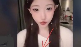 李恩微博爆料视频大全集,揭秘娱乐圈幕后真相