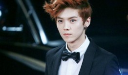 鹿晗爆料接吻视频合集在线观看,甜蜜瞬间回顾