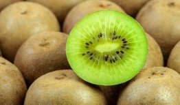 猕猴桃爆料新闻视频下载,视频爆料揭示行业秘密