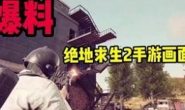 萌少视频解说爆料
