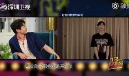 黄磊爆料节目视频播放时间,视频播放时间背后的秘密