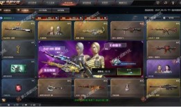 最新爆料王者轮回视频,揭秘神秘视频背后的传奇故事