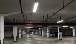 狗仔爆料地下车库视频,地下车库惊现明星神秘片段