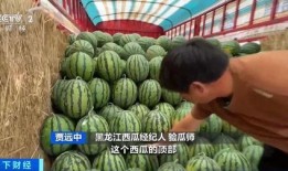 大豆行情网免费网站大全吃瓜,吃瓜群众必看的行情资讯汇总