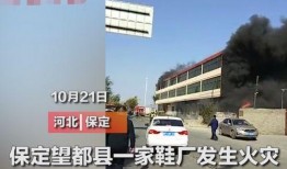 保定望都县爆料事件最新,揭开背后真相，探寻社会关注焦点