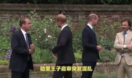 哈利庭审最新爆料,揭秘案件背后惊人真相