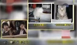 莒县房产主播爆料视频曝光,揭秘当地房地产市场内幕