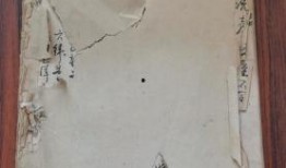 爆料大连探店视频最新,网红美食打卡地大盘点