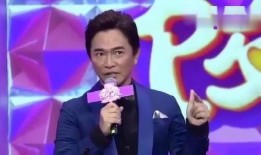 爆料男星视频下载网站免费,揭秘背后真相与风险