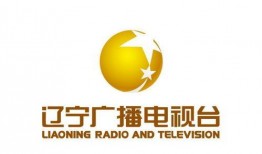 辽宁广播电视台爆料新闻,重大新闻事件深度解析