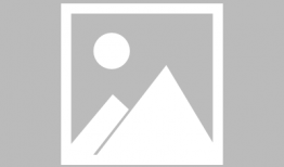 农民新闻视频爆料网,聚焦农村热点，传递农民心声