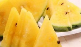 吃瓜网-免费吃瓜,免费吃瓜，畅享娱乐盛宴