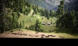 湿地电影德国在线观看,德国自然风光之旅