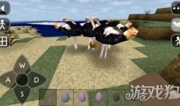 鸵鸟吃瓜视频在线观看免费,鸵鸟吃瓜萌态十足，萌趣视频引网友热议