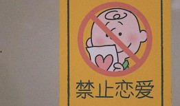 娱乐吃瓜八卦背景图图片,吃瓜群众背后的故事