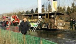 吉林木材厂爆料视频,揭露行业黑幕，揭秘真相！