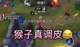 赵云爆料小游戏视频大全,爆款小游戏视频大全幕后故事