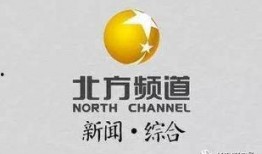 辽宁广播电视台爆料新闻,重大新闻事件深度解析