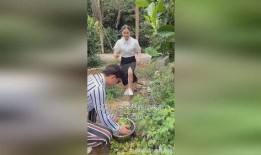 鸵鸟吃瓜视频在线观看免费,鸵鸟吃瓜萌态十足，萌趣视频引网友热议