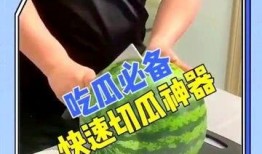 吃瓜神器直播在线观看免费,直播在线观看免费，畅享娱乐盛宴