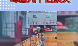 青岛海霸员工爆料视频,揭露企业内幕与真相