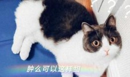 娱乐圈吃瓜磕cp,CP甜蜜互动大盘点