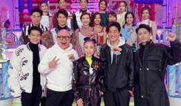 爆料男星视频下载网站免费,揭秘背后真相与风险