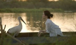 湿地电影德国在线观看,德国自然风光之旅