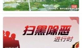 今日山东爆料新闻视频,视频揭露惊人真相，引发社会关注