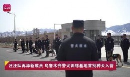 新疆最新新闻爆料视频,揭秘神秘事件背后的真相