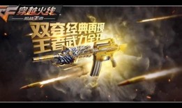 最新爆料王者轮回视频,揭秘神秘视频背后的传奇故事