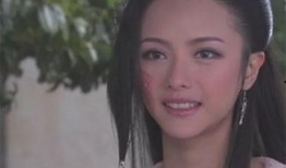 张芷溪事件爆料视频完整版,真相与争议交织