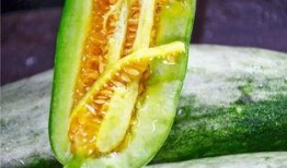 和带你吃瓜差不多的网红,带你领略瓜界风云