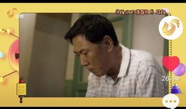 爆料杨姓艺人视频播放大全,精彩瞬间一网打尽