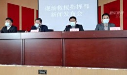 今日山东爆料新闻视频,视频揭露惊人真相，引发社会关注