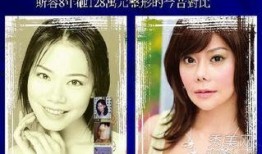 刘美丽爆料整容视频播放,揭秘明星美容秘密