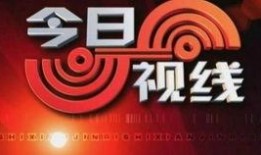 今日爆料官方电话号,今日爆料官方电话号码大公开