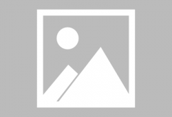 农民新闻视频爆料网,聚焦农村热点，传递农民心声